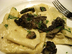 Papardelle with morels and thyme
